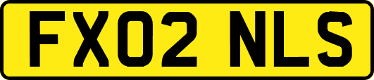 FX02NLS