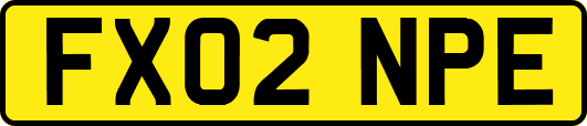 FX02NPE