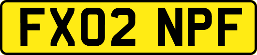 FX02NPF