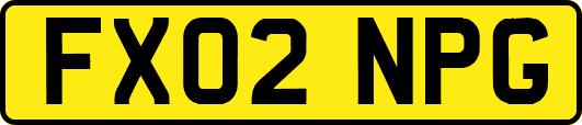 FX02NPG