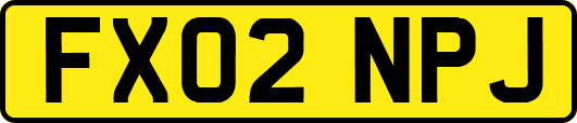 FX02NPJ