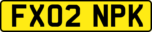 FX02NPK