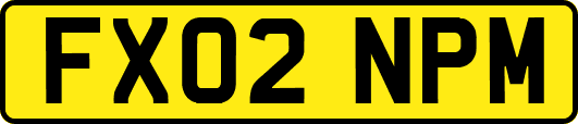 FX02NPM