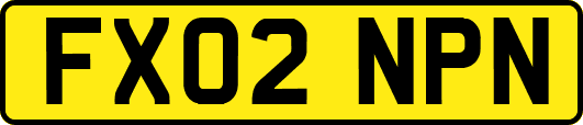 FX02NPN
