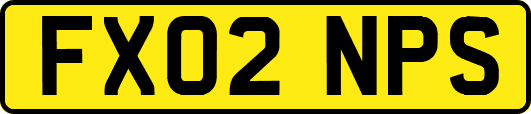 FX02NPS