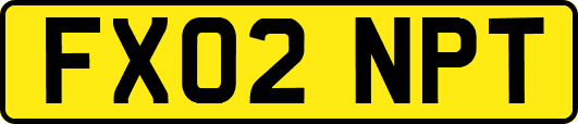 FX02NPT