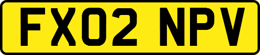FX02NPV