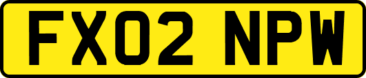 FX02NPW