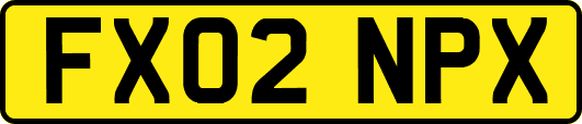FX02NPX