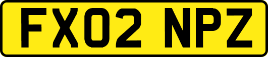 FX02NPZ