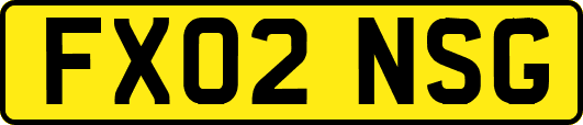 FX02NSG