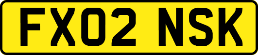 FX02NSK