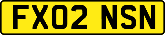 FX02NSN