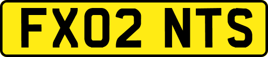 FX02NTS