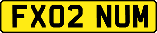 FX02NUM