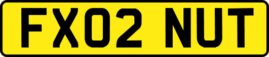 FX02NUT