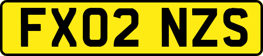 FX02NZS