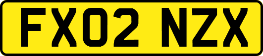 FX02NZX