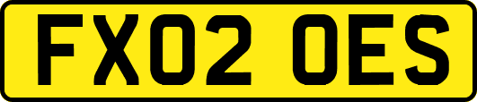 FX02OES