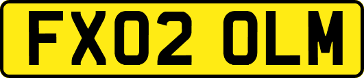 FX02OLM