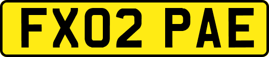 FX02PAE