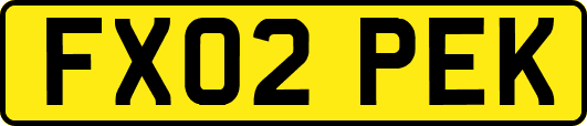 FX02PEK
