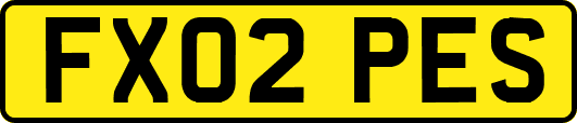 FX02PES