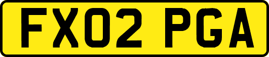 FX02PGA
