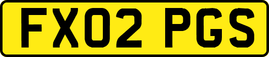 FX02PGS