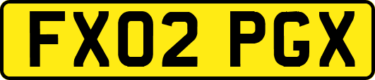 FX02PGX