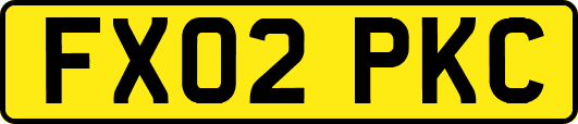 FX02PKC