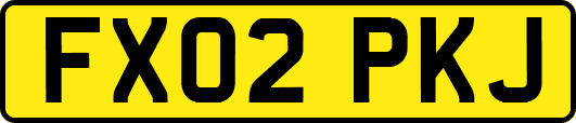 FX02PKJ
