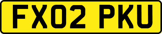 FX02PKU
