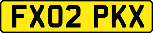 FX02PKX
