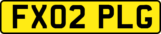 FX02PLG