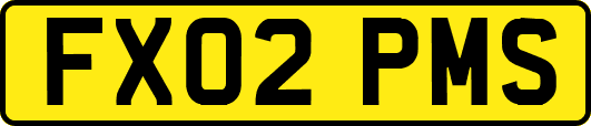 FX02PMS