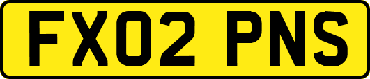 FX02PNS