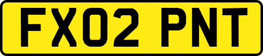 FX02PNT