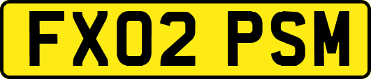 FX02PSM