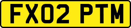 FX02PTM