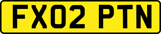 FX02PTN