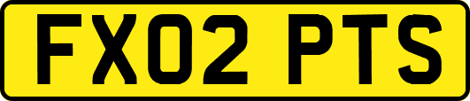 FX02PTS