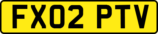 FX02PTV
