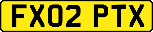 FX02PTX