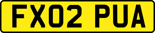 FX02PUA