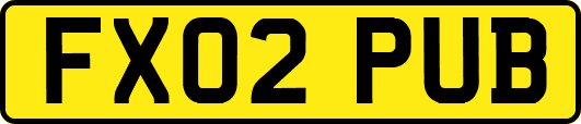 FX02PUB