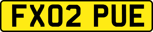 FX02PUE