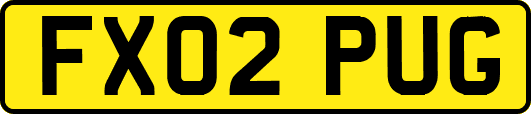 FX02PUG