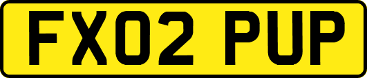 FX02PUP