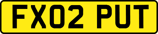 FX02PUT